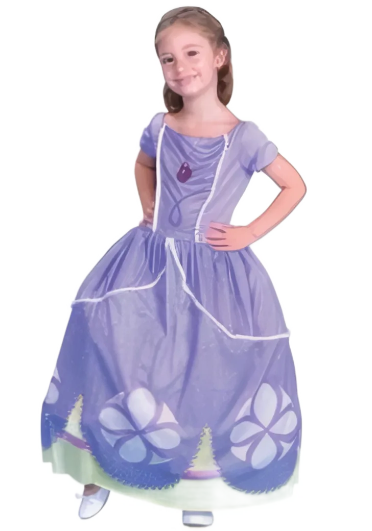 Disfraz de Sofía la Princesa